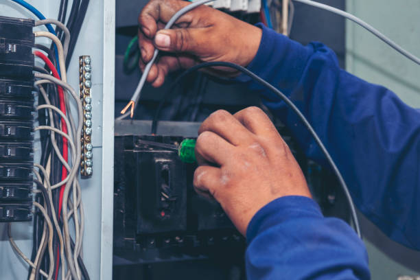 Best Electric Panel Repair  in Forsyth, MT
